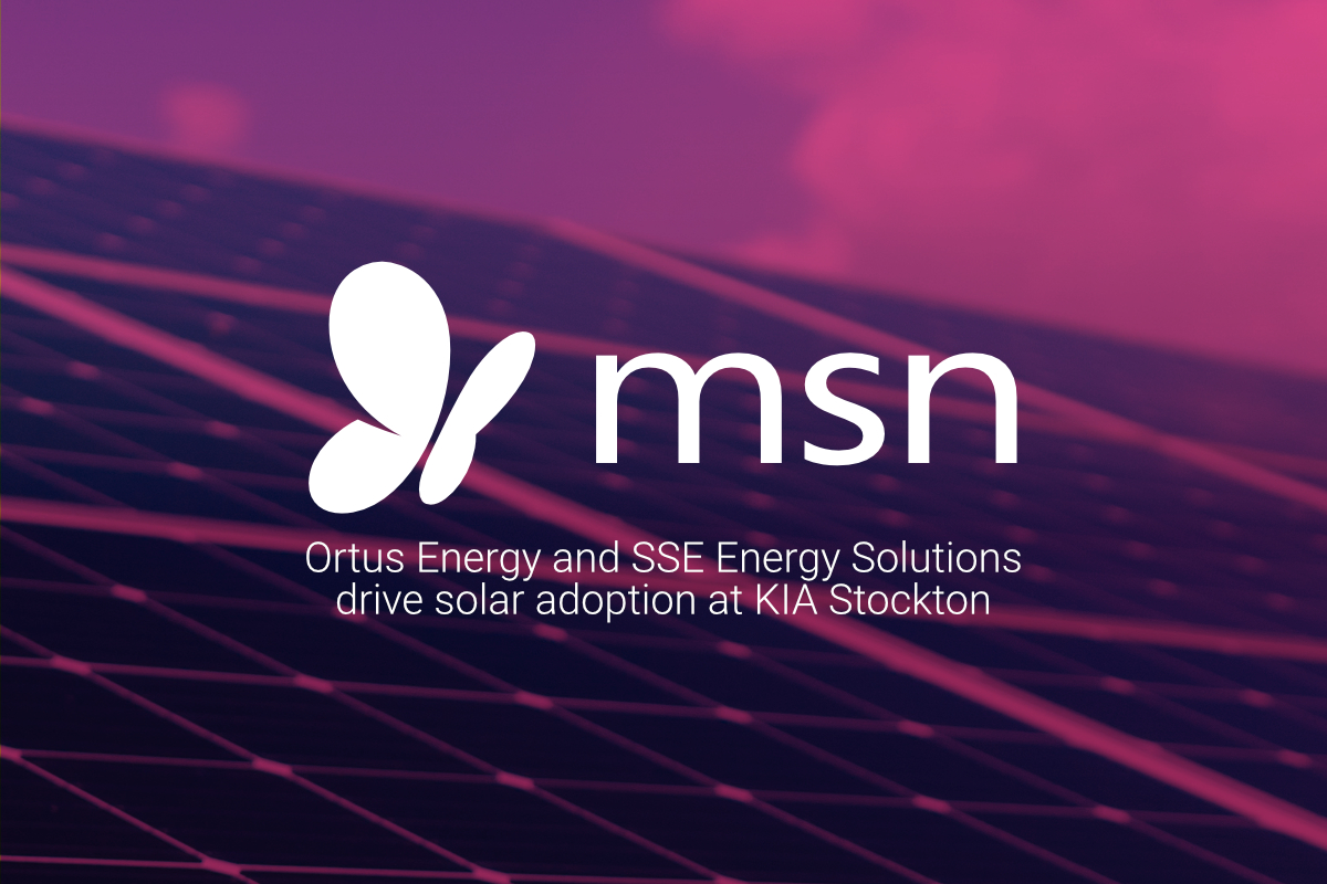 MSN News